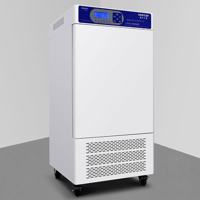 Temperatur-Feuchtigkeits-Test-Kammer der Soem-Temperatur-Feuchtigkeits-Kammer-220V
