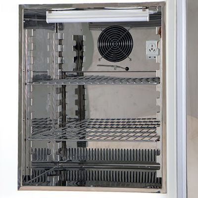Programm-Steuerlaborabkühlender Brutkasten gekühlter Brutkasten 110V 220V