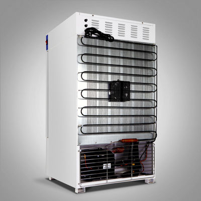 -40~65C kühlte medizinischen biologischen Brutkasten des Brutkasten-110V für Labor ab
