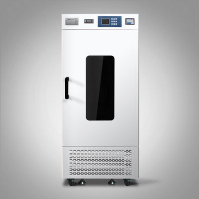 Plättchen-Brutkasten-Quirl-Blutbeutel 110V 220V, der Brutkasten Soem rüttelt