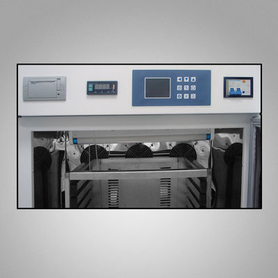 Plättchen-Brutkasten-Quirl-Blutbeutel 110V 220V, der Brutkasten Soem rüttelt