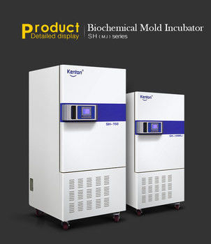 ISO-Laborbiologischer Brutkasten Constant Temperature Incubator 800L